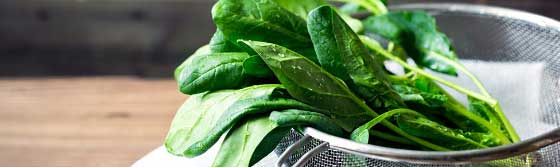 Spinach in a bowl