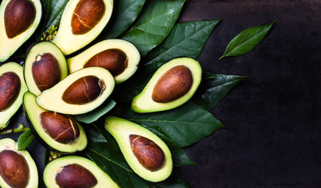 avocado-main