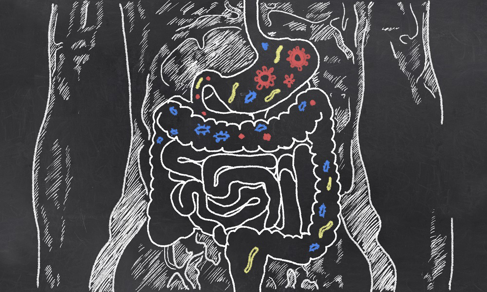 Sketch of body and digestive system to show effects of gluten.